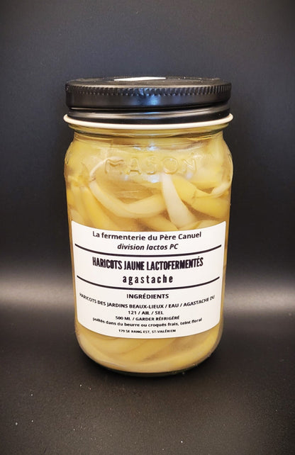 Haricot jaune fermenté à l'agastache - La fermenterie du père Canuel