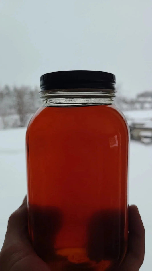 Sirop d'érable (Prévente, livraison à partir de la mi - Avril) - La fermenterie du père Canuel