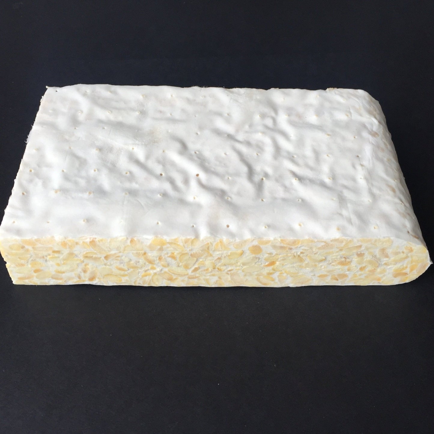 Tempeh de soya - La fermenterie du père Canuel