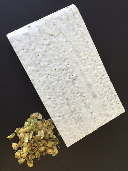 Tempeh de lentilles prêt à cuire - Wakame et berce laineuse