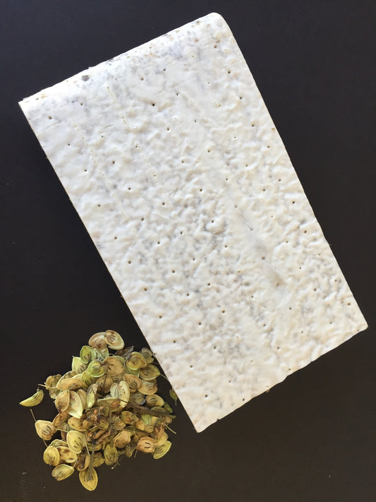 Tempeh de lentilles prêt à cuire - Wakame et berce laineuse